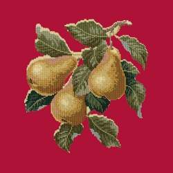 Elizabeth Bradley, Botanical Fruits, PEARS - 16x16 pollici Elizabeth Bradley - 4