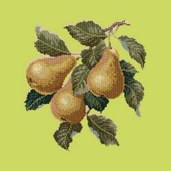 Elizabeth Bradley, Botanical Fruits, PEARS - 16x16 pollici Elizabeth Bradley - 8