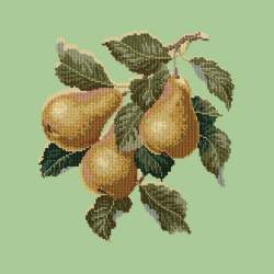 Elizabeth Bradley, Botanical Fruits, PEARS - 16x16 pollici Elizabeth Bradley - 9