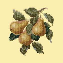 Elizabeth Bradley, Botanical Fruits, PEARS - 16x16 pollici Elizabeth Bradley - 10