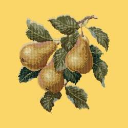 Elizabeth Bradley, Botanical Fruits, PEARS - 16x16 pollici Elizabeth Bradley - 11