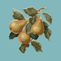 Elizabeth Bradley, Botanical Fruits, PEARS - 16x16 pollici Elizabeth Bradley - 15