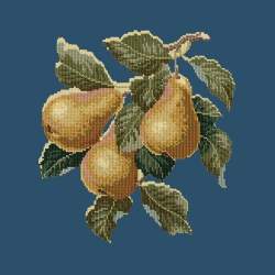 Elizabeth Bradley, Botanical Fruits, PEARS - 16x16 pollici Elizabeth Bradley - 16