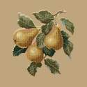 Elizabeth Bradley, Botanical Fruits, PEARS - 16x16 pollici Elizabeth Bradley - 17