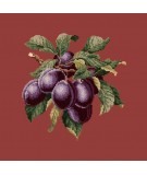 Elizabeth Bradley, Botanical Fruits, PLUMS - 16x16 pollici Elizabeth Bradley - 5