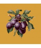 Elizabeth Bradley, Botanical Fruits, PLUMS - 16x16 pollici Elizabeth Bradley - 13