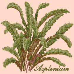 Elizabeth Bradley, Shade Garden, ASPLENIUM - 16x16 pollici Elizabeth Bradley - 3