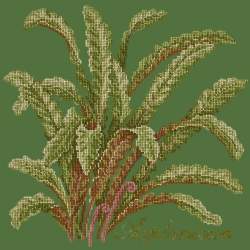 Elizabeth Bradley, Shade Garden, ASPLENIUM - 16x16 pollici Elizabeth Bradley - 6