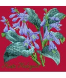 Elizabeth Bradley, Shade Garden, HOSTA HALCYON - 16x16 pollici Elizabeth Bradley - 4