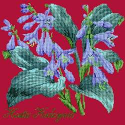 Elizabeth Bradley, Shade Garden, HOSTA HALCYON - 16x16 pollici Elizabeth Bradley - 4