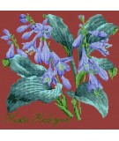 Elizabeth Bradley, Shade Garden, HOSTA HALCYON - 16x16 pollici Elizabeth Bradley - 5