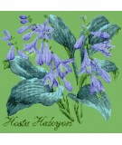 Elizabeth Bradley, Shade Garden, HOSTA HALCYON - 16x16 pollici Elizabeth Bradley - 7