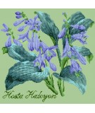 Elizabeth Bradley, Shade Garden, HOSTA HALCYON - 16x16 pollici Elizabeth Bradley - 9