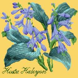 Elizabeth Bradley, Shade Garden, HOSTA HALCYON - 16x16 pollici Elizabeth Bradley - 11