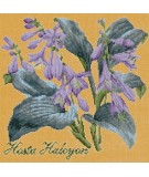 Elizabeth Bradley, Shade Garden, HOSTA HALCYON - 16x16 pollici Elizabeth Bradley - 13