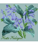 Elizabeth Bradley, Shade Garden, HOSTA HALCYON - 16x16 pollici Elizabeth Bradley - 14