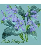 Elizabeth Bradley, Shade Garden, HOSTA HALCYON - 16x16 pollici Elizabeth Bradley - 15