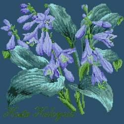 Elizabeth Bradley, Shade Garden, HOSTA HALCYON - 16x16 pollici Elizabeth Bradley - 16