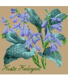 Elizabeth Bradley, Shade Garden, HOSTA HALCYON - 16x16 pollici Elizabeth Bradley - 17