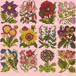 Elizabeth Bradley, Floribunda, COTTAGE GARDEN FAVOURITES - 12x12 pollici Elizabeth Bradley - 2