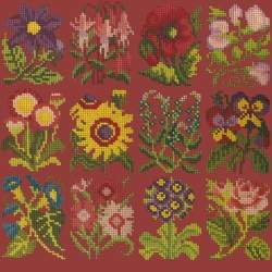 Elizabeth Bradley, Floribunda, COTTAGE GARDEN FAVOURITES - 12x12 pollici Elizabeth Bradley - 5