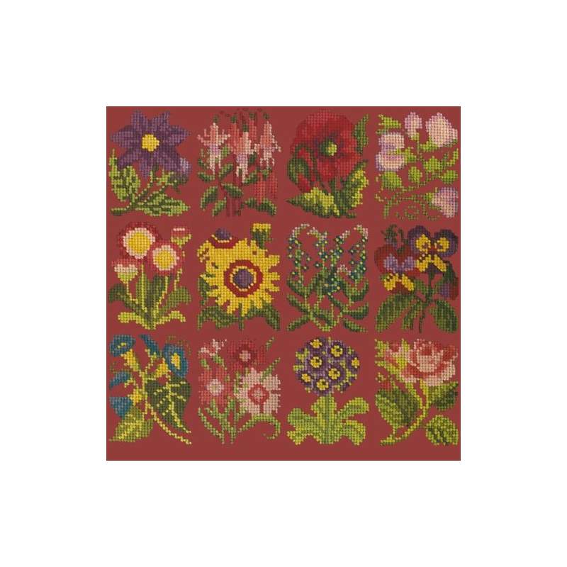 Elizabeth Bradley, Floribunda, COTTAGE GARDEN FAVOURITES - 12x12 pollici Elizabeth Bradley - 5