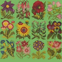 Elizabeth Bradley, Floribunda, COTTAGE GARDEN FAVOURITES - 12x12 pollici Elizabeth Bradley - 7