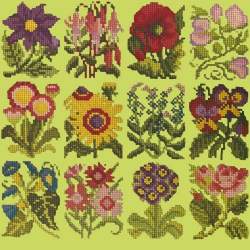 Elizabeth Bradley, Floribunda, COTTAGE GARDEN FAVOURITES - 12x12 pollici Elizabeth Bradley - 8