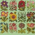 Elizabeth Bradley, Floribunda, COTTAGE GARDEN FAVOURITES - 12x12 pollici Elizabeth Bradley - 9