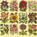 Elizabeth Bradley, Floribunda, COTTAGE GARDEN FAVOURITES - 12x12 pollici Elizabeth Bradley - 10