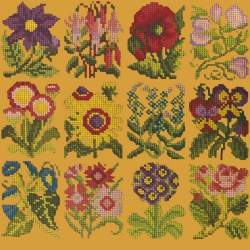 Elizabeth Bradley, Floribunda, COTTAGE GARDEN FAVOURITES - 12x12 pollici Elizabeth Bradley - 13