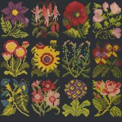 Elizabeth Bradley, Floribunda, COTTAGE GARDEN FAVOURITES - 12x12 pollici Elizabeth Bradley - 18