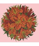 Elizabeth Bradley, Floribunda, LILY BALL - 12x12 pollici Elizabeth Bradley - 2