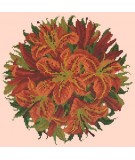 Elizabeth Bradley, Floribunda, LILY BALL - 12x12 pollici Elizabeth Bradley - 3