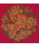 Elizabeth Bradley, Floribunda, LILY BALL - 12x12 pollici Elizabeth Bradley - 4