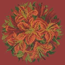 Elizabeth Bradley, Floribunda, LILY BALL - 12x12 pollici Elizabeth Bradley - 5