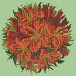 Elizabeth Bradley, Floribunda, LILY BALL - 12x12 pollici Elizabeth Bradley - 9