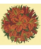 Elizabeth Bradley, Floribunda, LILY BALL - 12x12 pollici Elizabeth Bradley - 10