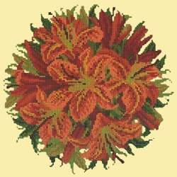 Elizabeth Bradley, Floribunda, LILY BALL - 12x12 pollici Elizabeth Bradley - 10