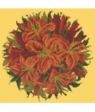 Elizabeth Bradley, Floribunda, LILY BALL - 12x12 pollici Elizabeth Bradley - 11