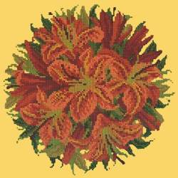 Elizabeth Bradley, Floribunda, LILY BALL - 12x12 pollici Elizabeth Bradley - 11