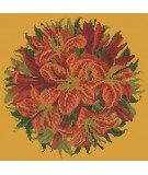 Elizabeth Bradley, Floribunda, LILY BALL - 12x12 pollici Elizabeth Bradley - 13