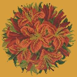 Elizabeth Bradley, Floribunda, LILY BALL - 12x12 pollici Elizabeth Bradley - 13