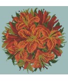 Elizabeth Bradley, Floribunda, LILY BALL - 12x12 pollici Elizabeth Bradley - 14