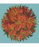 Elizabeth Bradley, Floribunda, LILY BALL - 12x12 pollici Elizabeth Bradley - 15