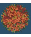 Elizabeth Bradley, Floribunda, LILY BALL - 12x12 pollici Elizabeth Bradley - 16