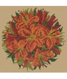 Elizabeth Bradley, Floribunda, LILY BALL - 12x12 pollici Elizabeth Bradley - 17