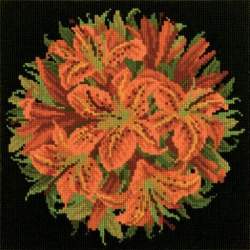 Elizabeth Bradley, Floribunda, LILY BALL - 12x12 pollici Elizabeth Bradley - 18