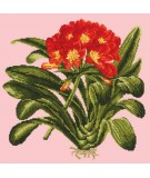 Elizabeth Bradley, Tropicals, CLIVIA - 16x16 pollici Elizabeth Bradley - 1