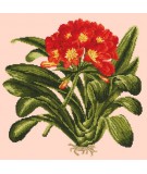 Elizabeth Bradley, Tropicals, CLIVIA - 16x16 pollici Elizabeth Bradley - 2